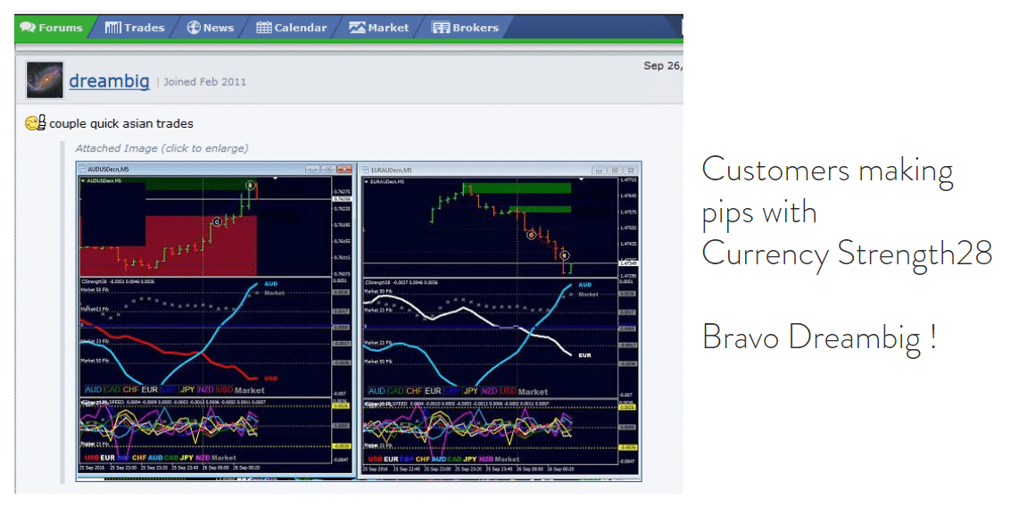 Testimonials from the developer’s site