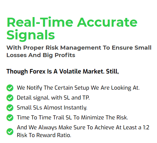 Features of Price Action Forex Ltd