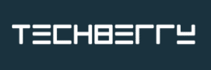 TechBerry online